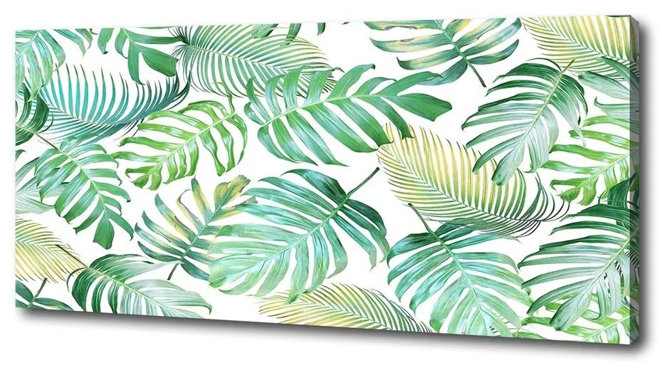 Fali vászonkép Trópusi levelek pl-oc-125x50-f-147218411