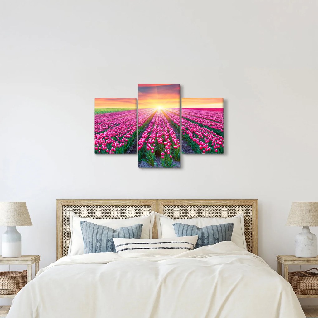 Tulipán mező és a nap képe (90x60 cm)