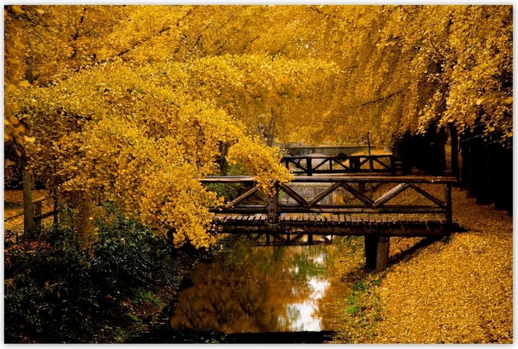 Poszterek 120x80 Tájkép Látvány