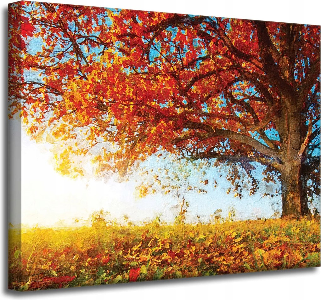 Vászonkép Gyönyörű Fa Piros Levelek Ősz 50x40 cm