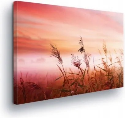Vászonkép 100x75 Napfelkelte naplemente köd természet fű nyugalom álom meleg