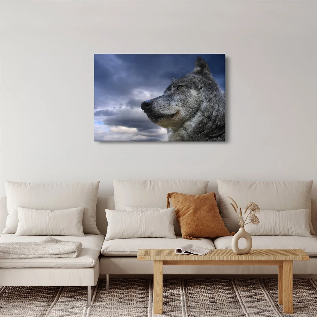 Kép - Farkas feje (90x60 cm)