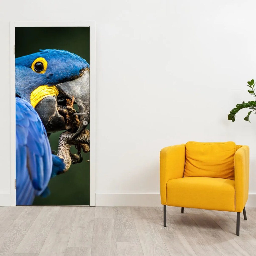 Fotótapéta ajtóra - Papagáj (95x205cm)