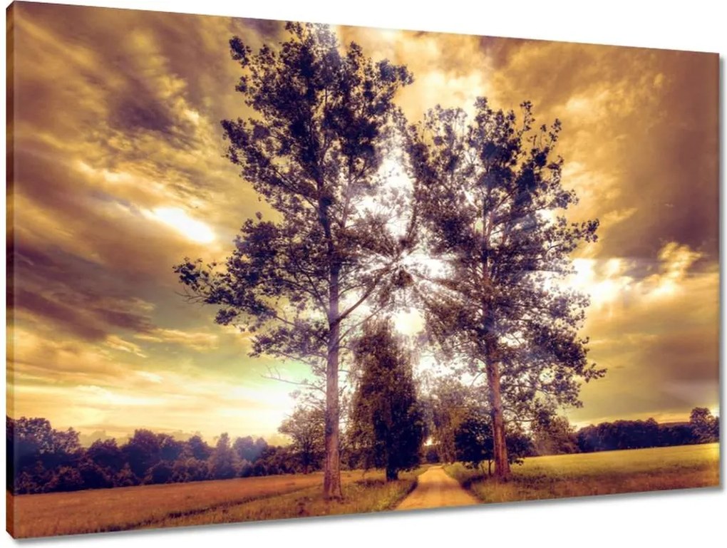 Vászonkép 90x60 Vidéki tájkép úttal