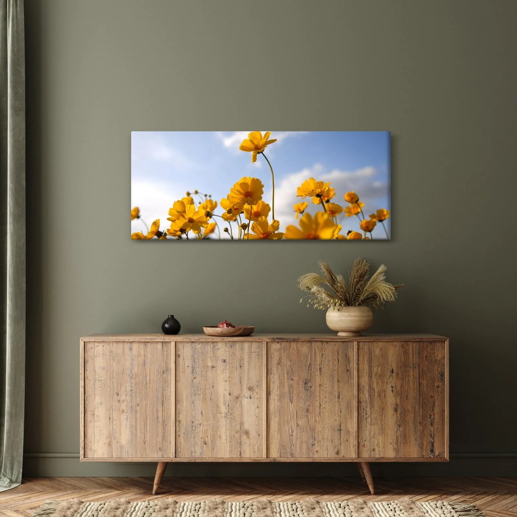 Fényes sárga virágokkal rendelkező mező képe (120x50 cm)