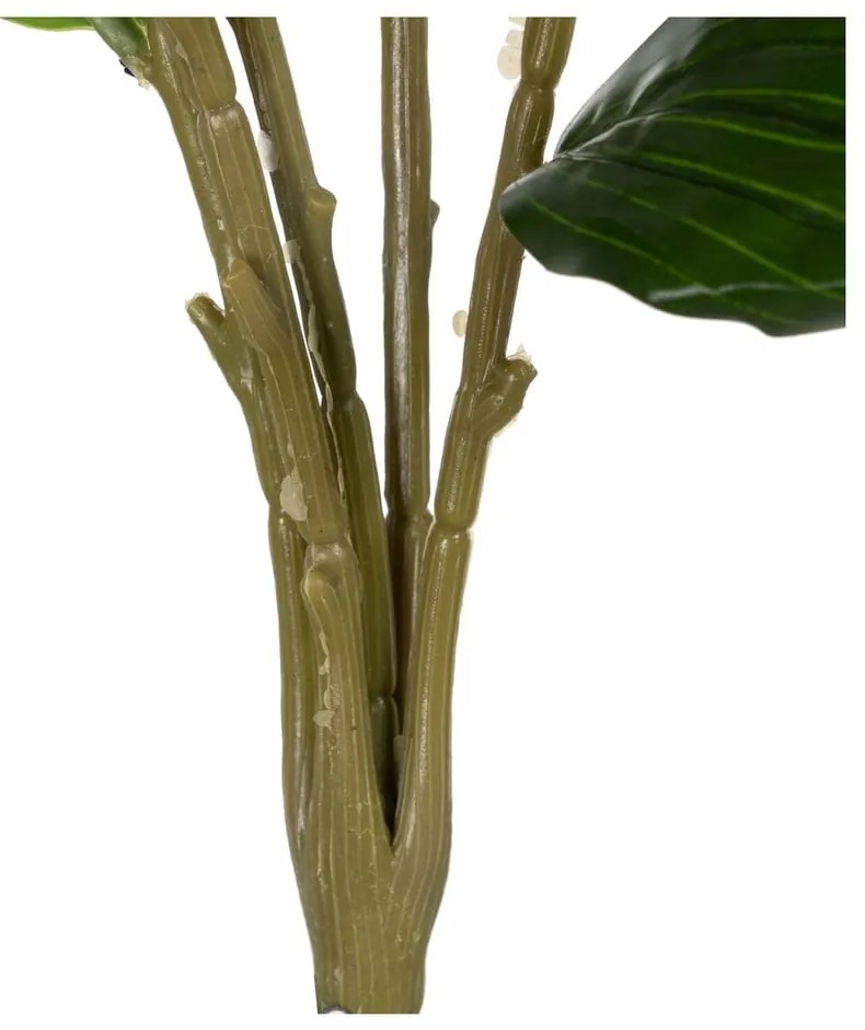 Művirág (magasság 58 cm) Lily – Ixia