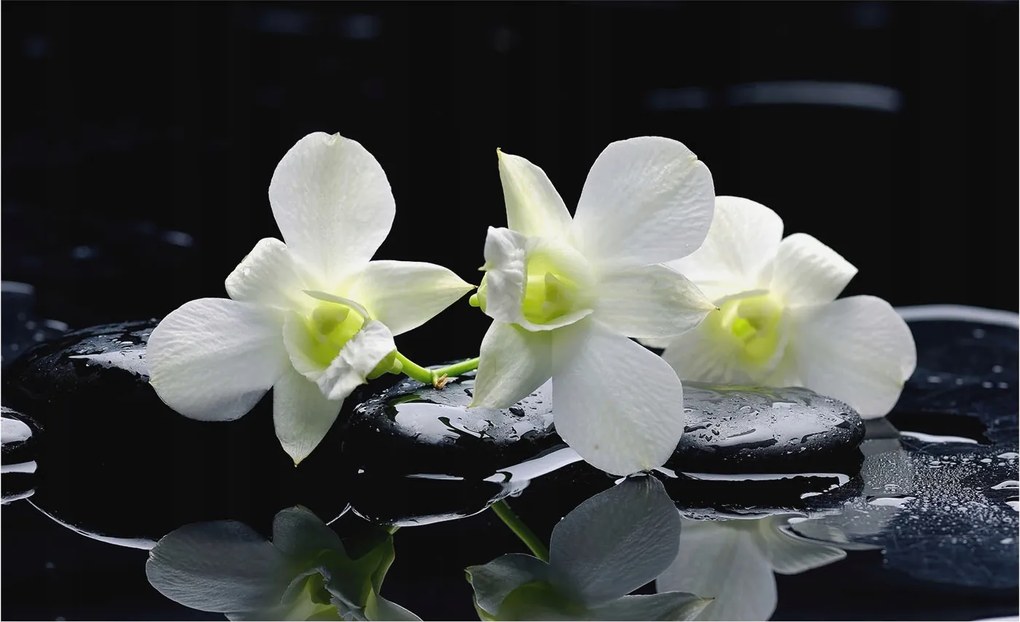 Flizelina Dekoratív Fotótapéta Hálószoba Virágok kövek 416x254 Ragasztó