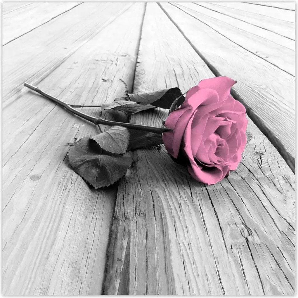Poszterek 70x70 Rózsa világos deszkákon
