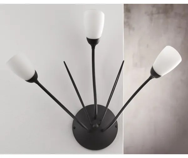 Jupiter 2059 - GLORIOSA fali lámpa 3xG9/14W/230V fekete