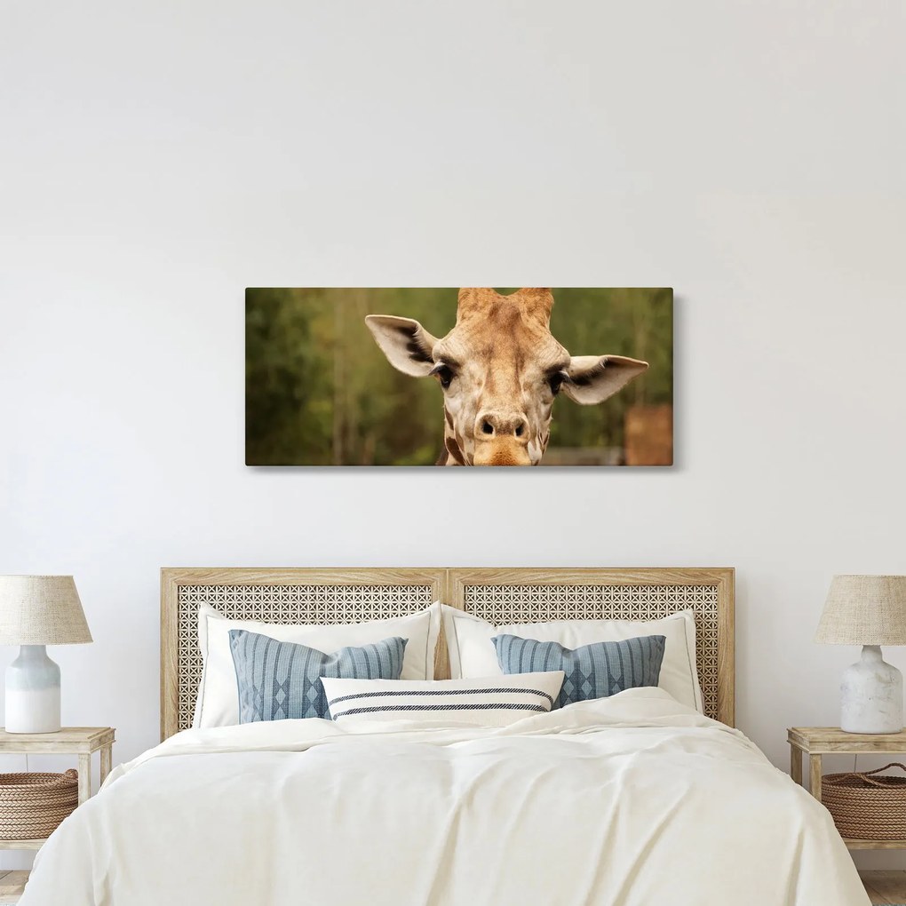 Egy zsiráf képe (120x50 cm)