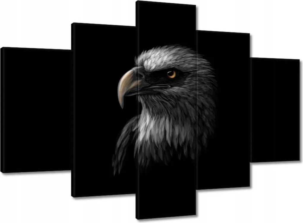 Vászonkép 150x105 Sas Fehér madár sas