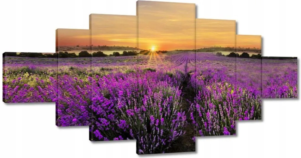 Képek 200x100 Levendula naplemente