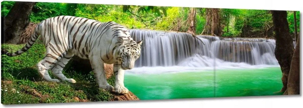Vászonkép 90x30 Tigris a vízesésnél