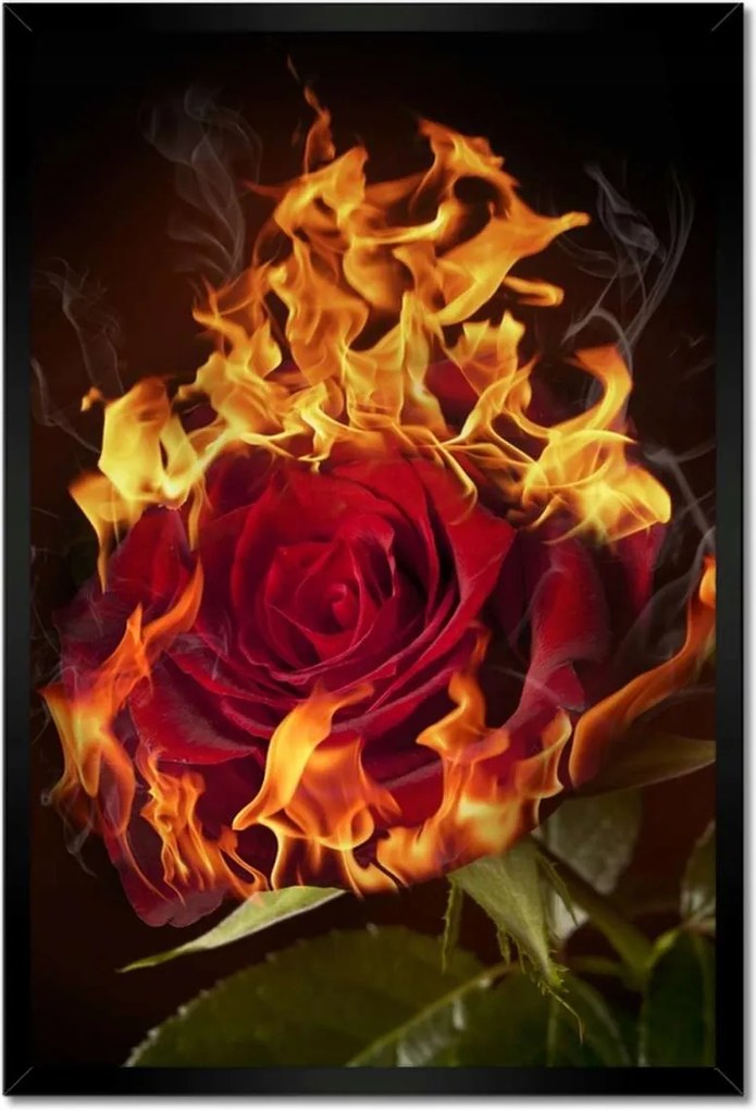 Poszterek keretben 40x60 Vörös lángoló rózsa