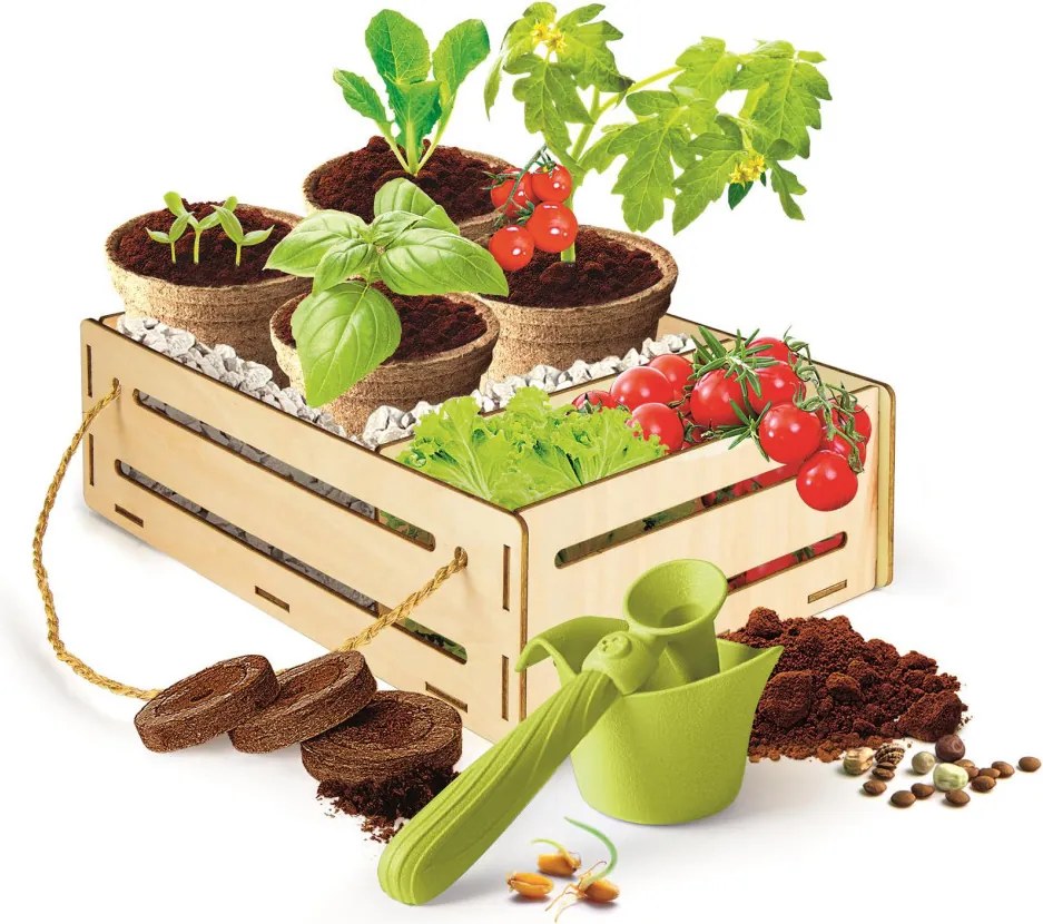 Kertészeti Organic tudományos szett Clementoni