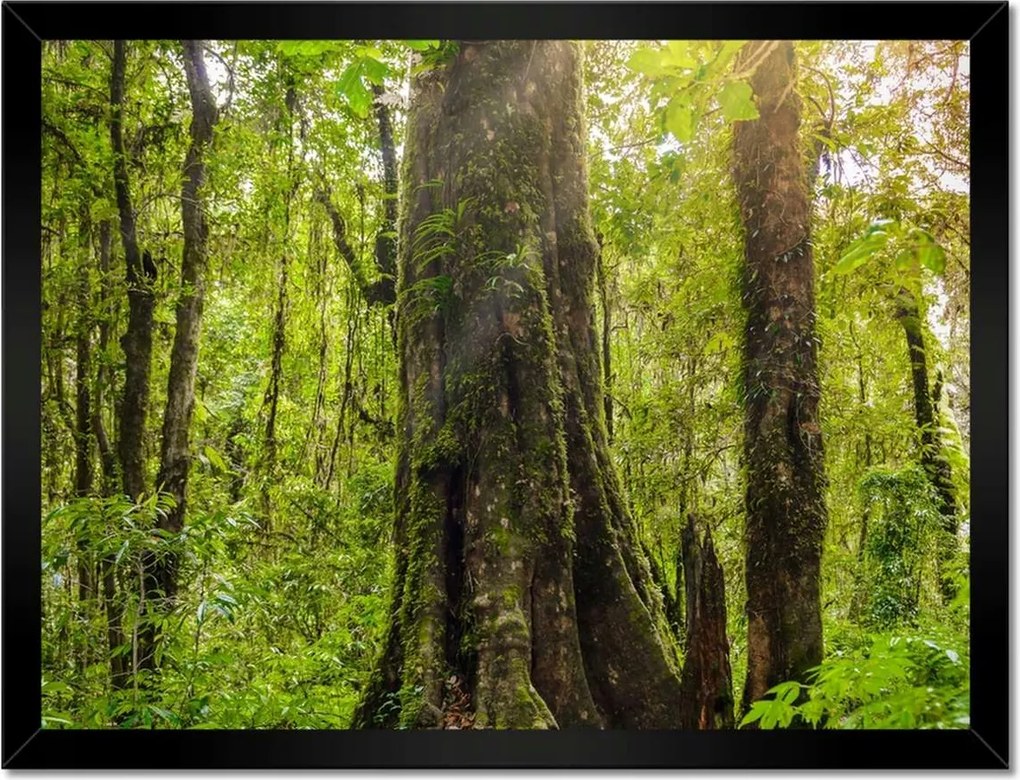 Poszterek keretben 40x30 Gyalogtúra