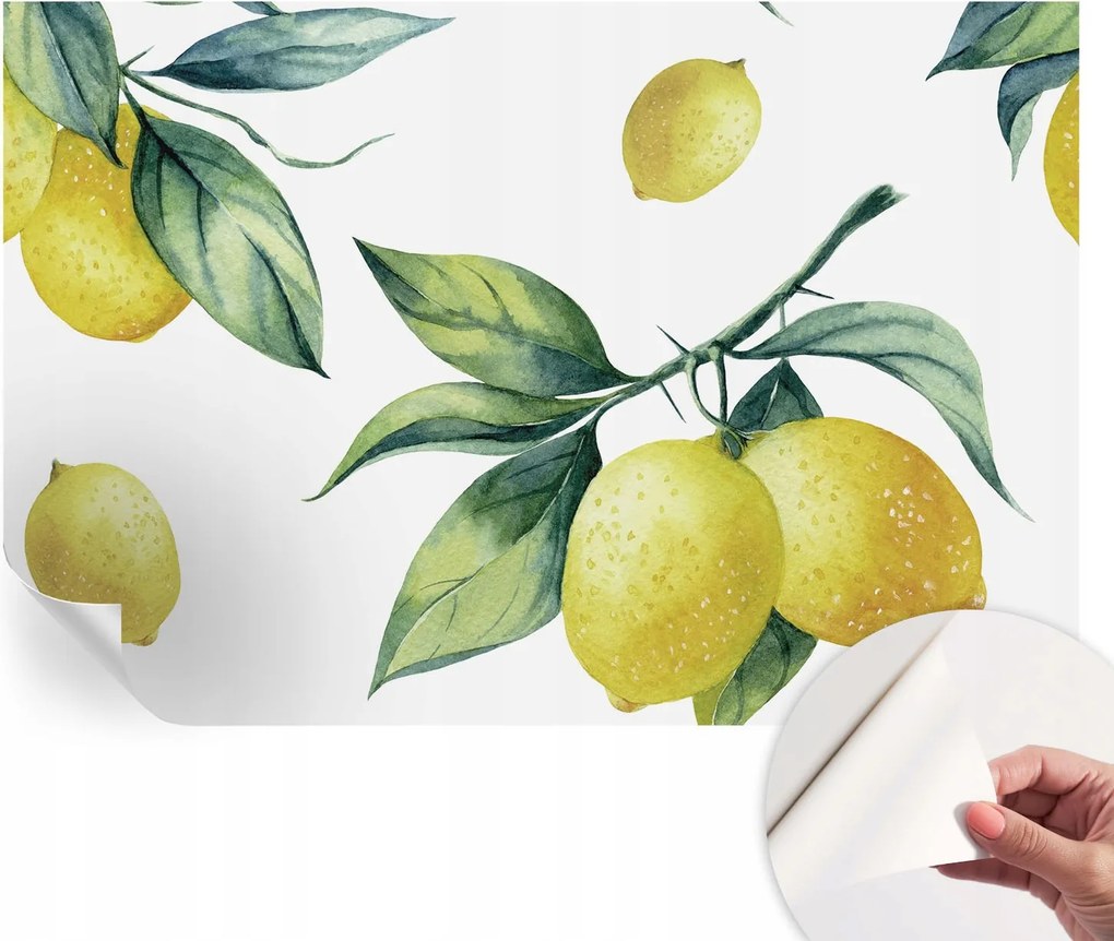 Modern öntapadós fali fotótapéta Citrom motívum 104x70 cm