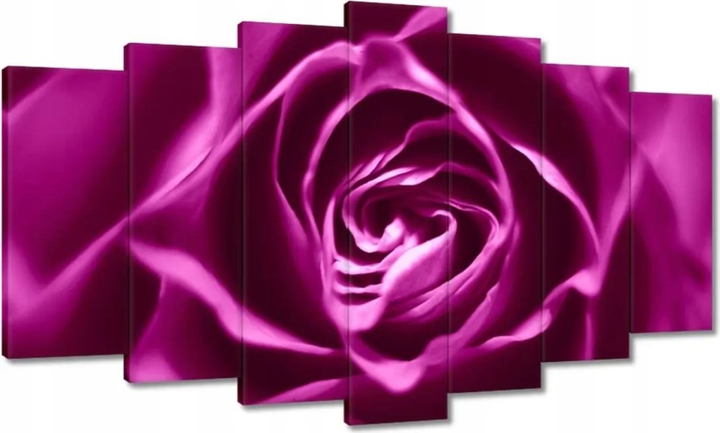 Vászonkép 140x80 Lila rózsa Makrofotó