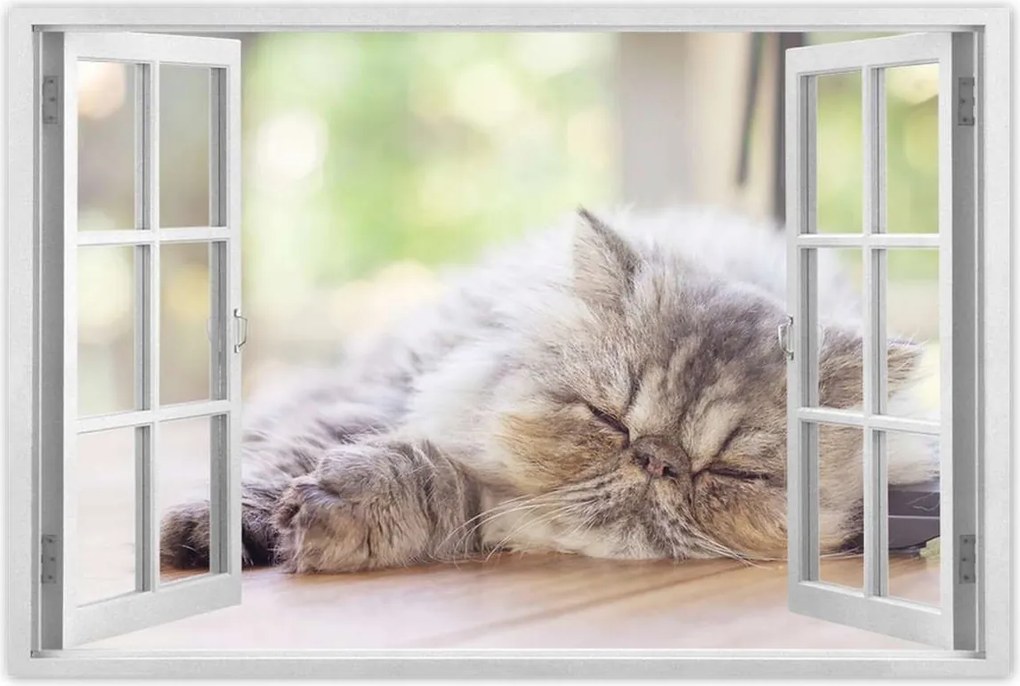 Poszterek 90x60 Cica Cicák