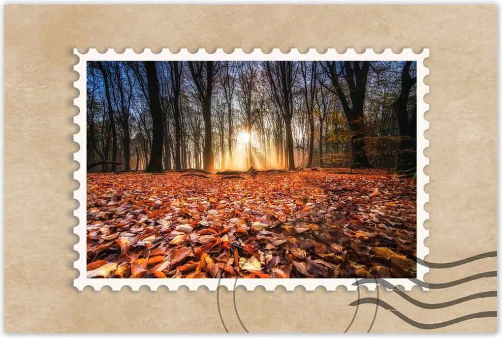 Poszterek 90x60 Őszi kilátás Tájkép