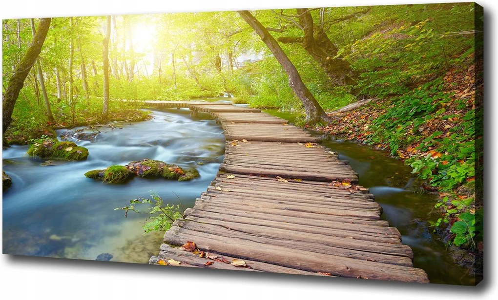 Vászonkép Ösvény az erdőben 100x70 cm