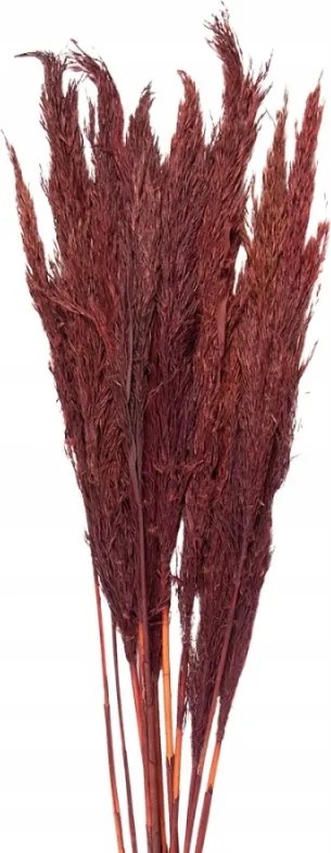 Bamboo szárított bambuszvirág borcsokor 100 cm