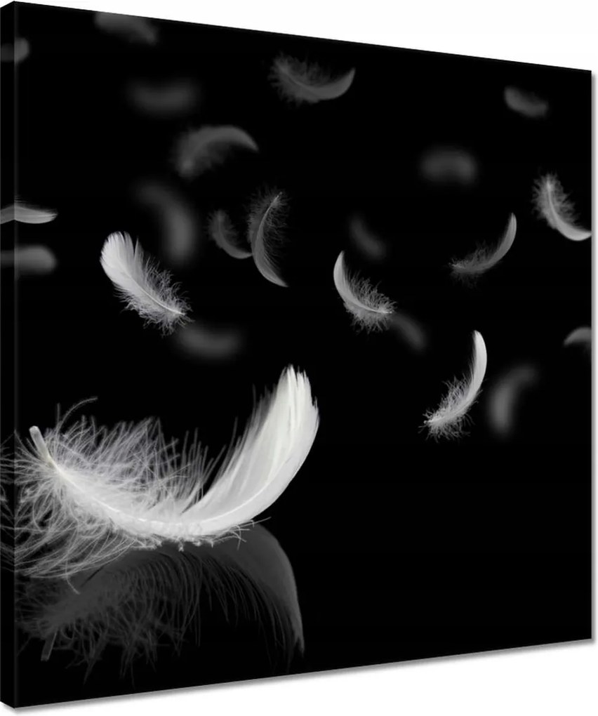 Vászonkép 40x40 Hulló fehér tollak