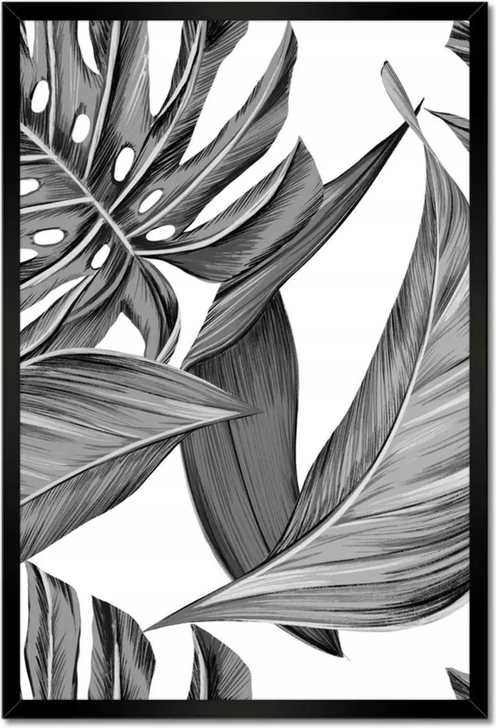 Monstera keretes poszter 40x60, szürke