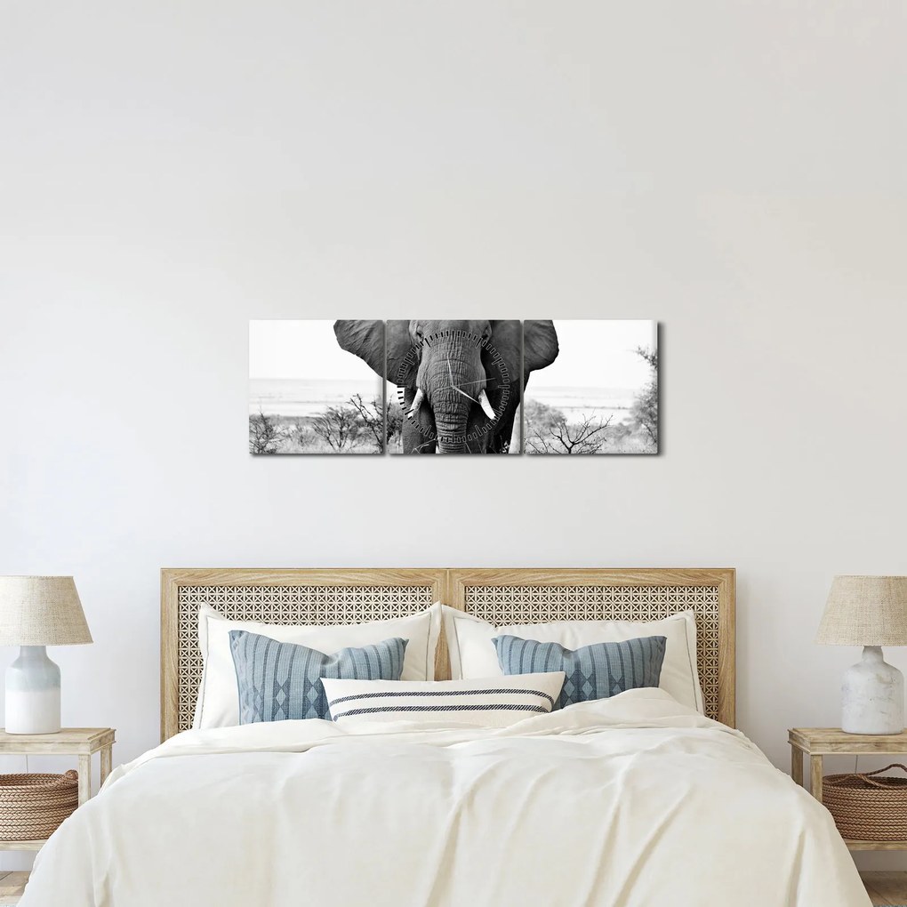 Kép - Afrikai elefánt II. (órával) (90x30 cm)