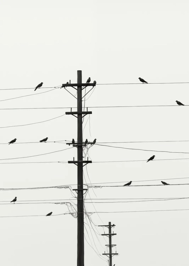 Poszter 67,5x95cm Szimfónia a drótokon