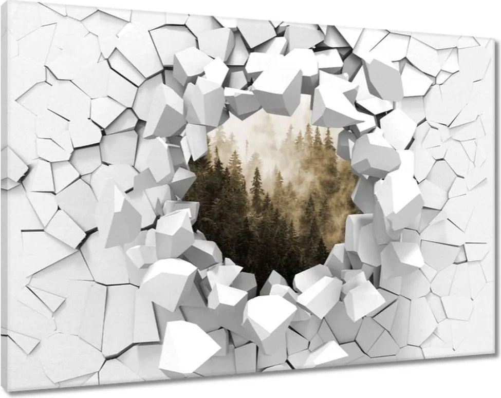 Festmények 120x80 Tájkép Szépia Hegyek Köd