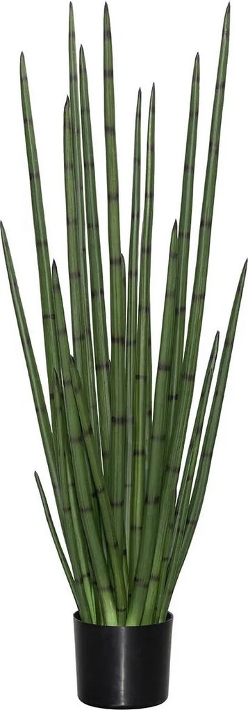 Pottery Pots Realisztikus műnövény Sansevieria cylindrica, több méretben - PotteryPots méret: H - ø 35 cm | m. 180 cm