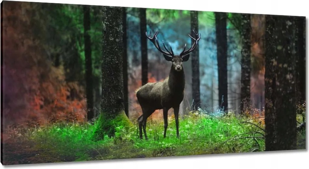 Vászonkép 115x55 Szarvas a mesés erdőben