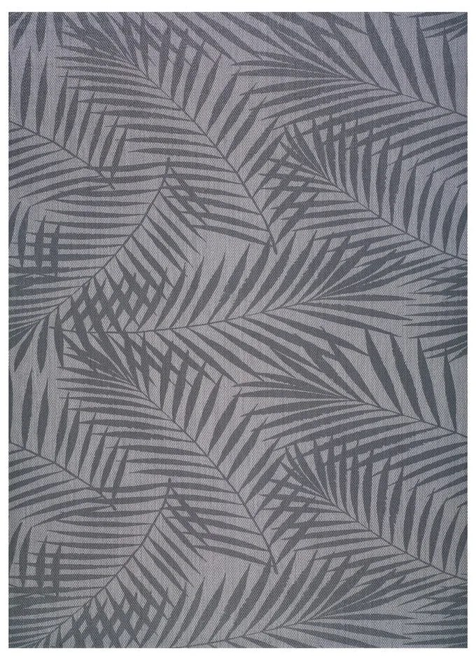 Palm szürke kültéri szőnyeg, 160 x 230 cm - Universal