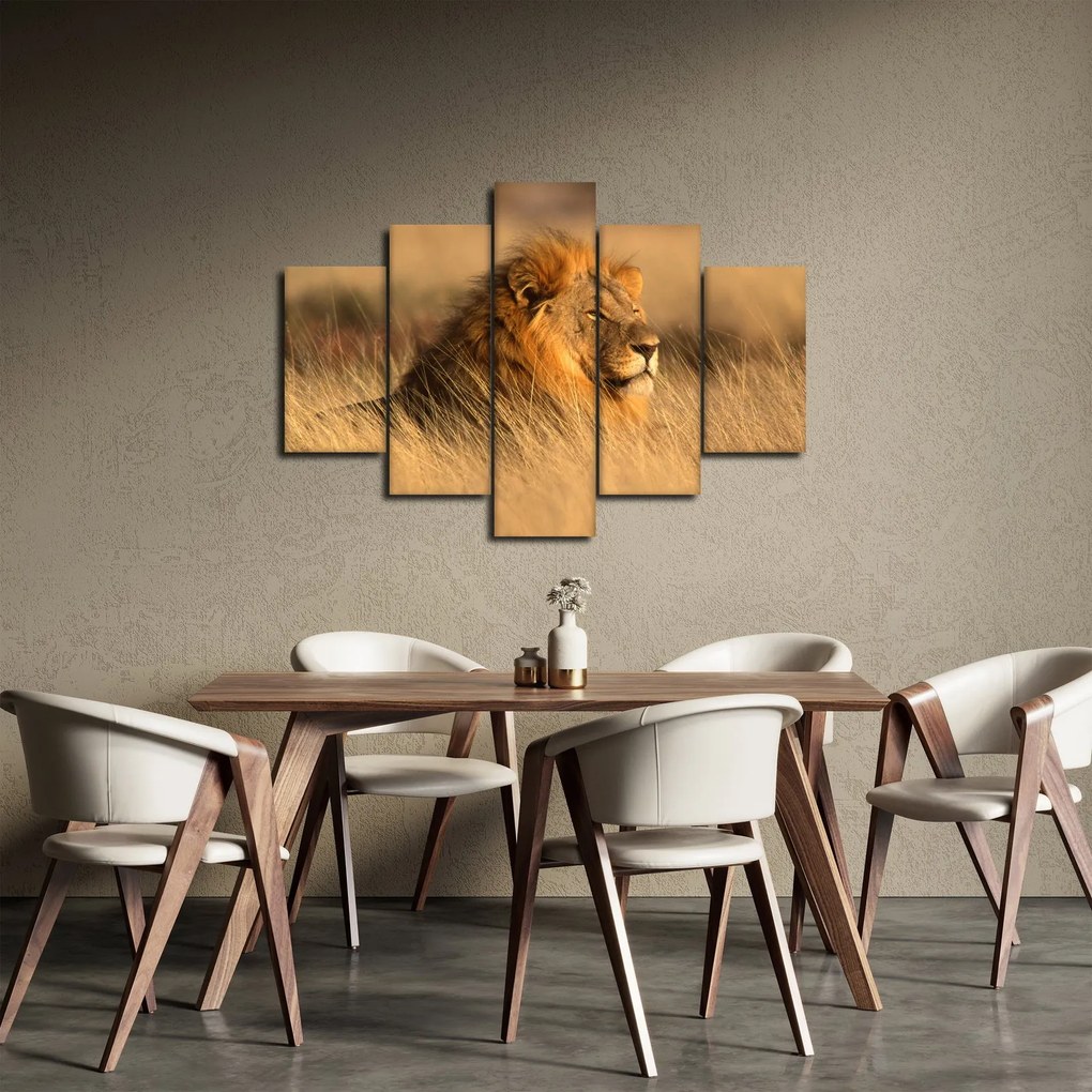 Kép - Etosha Nemzeti Park (150x105 cm)