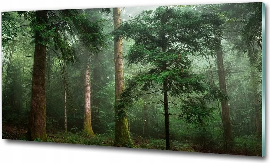 Fotó üveg kép Naplemente tenger 100x70