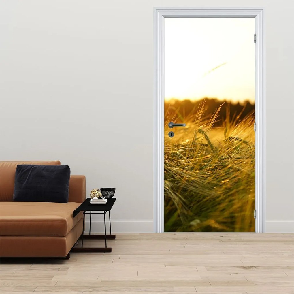Fotótapéta ajtóra - Harmatos fű (95x205cm)