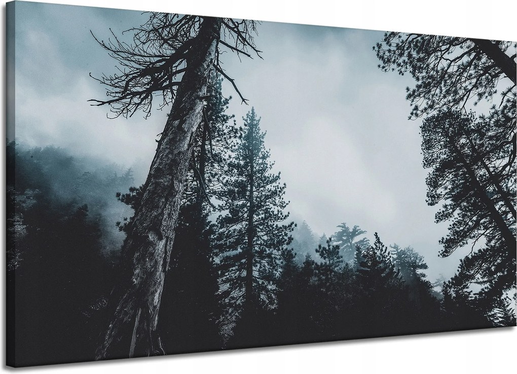 Vászonkép Természet Koronák Fák Erdő 120x70 cm