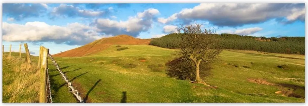 Poszterek 200x66 Tájkép réttel