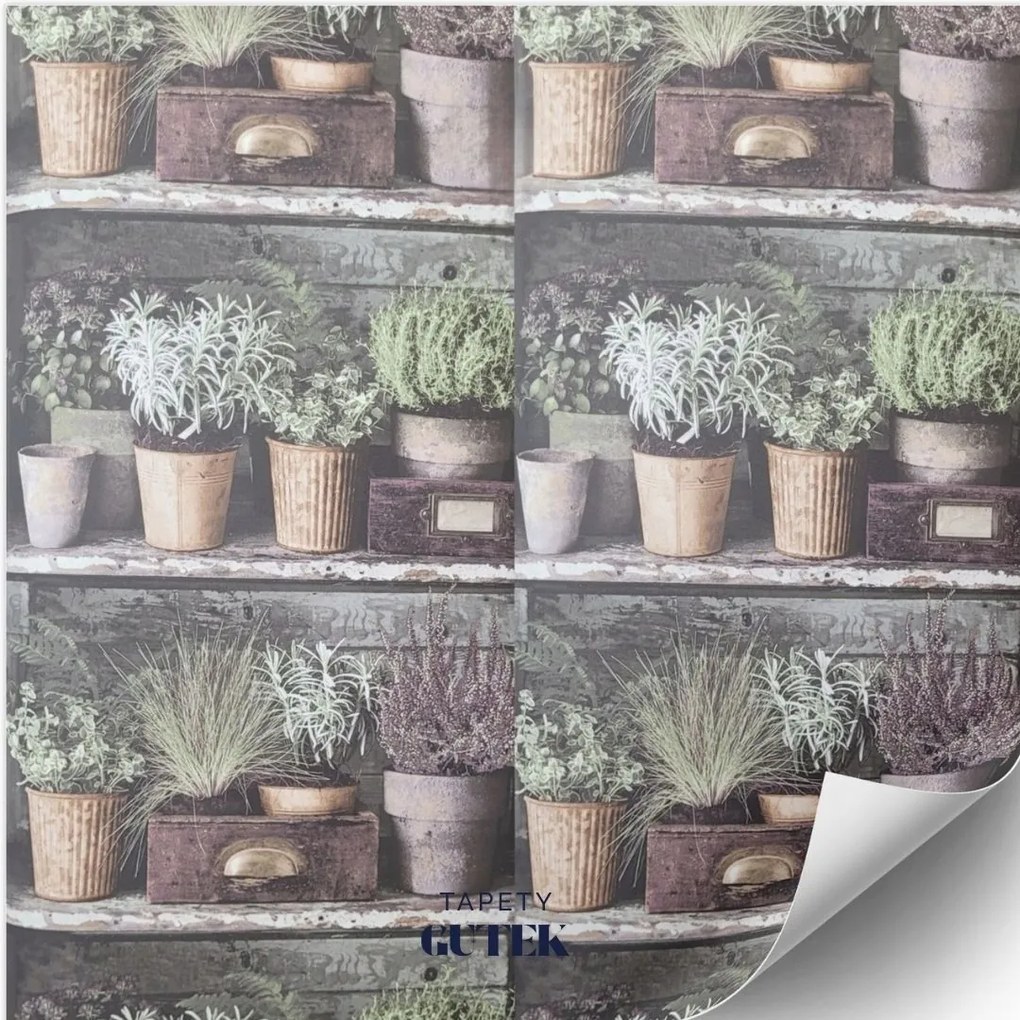 Fali tapéta, növényzet, kaspók, virágok, FC3101