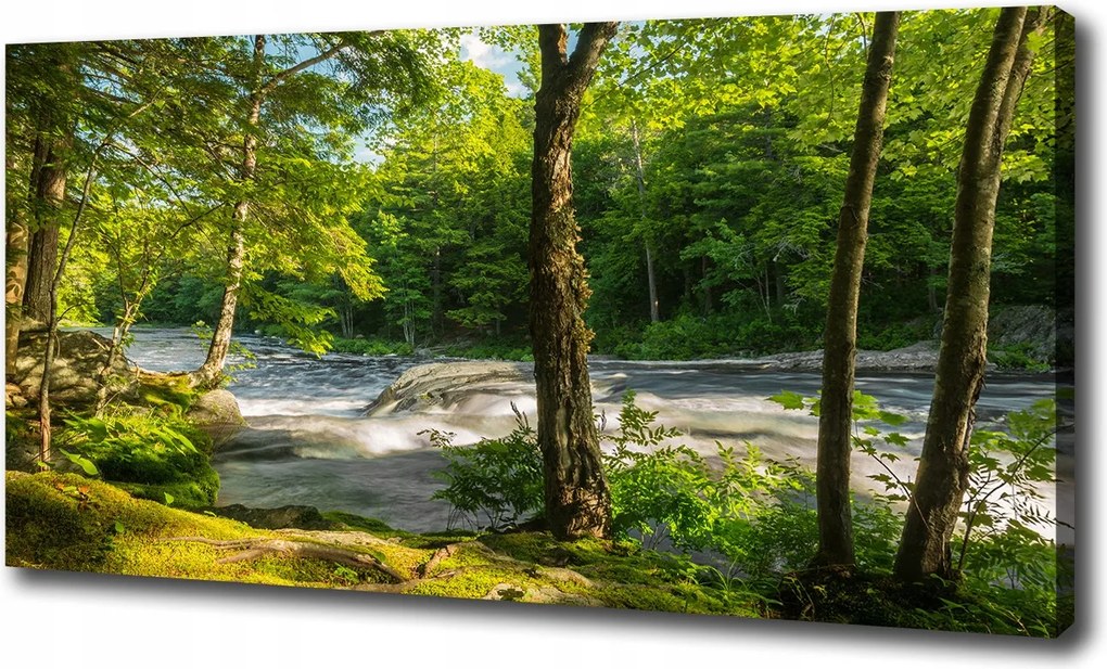 Vászonkép Folyó az erdőben 100x70 cm