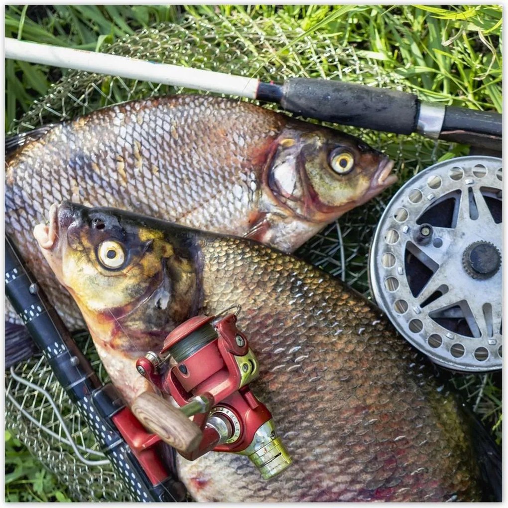 Poszterek 100x100 Nagy friss hal