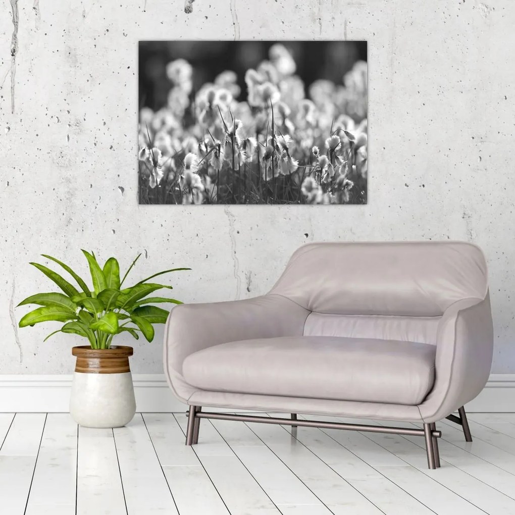 Üveg kép - Nyári rét (70x50 cm)