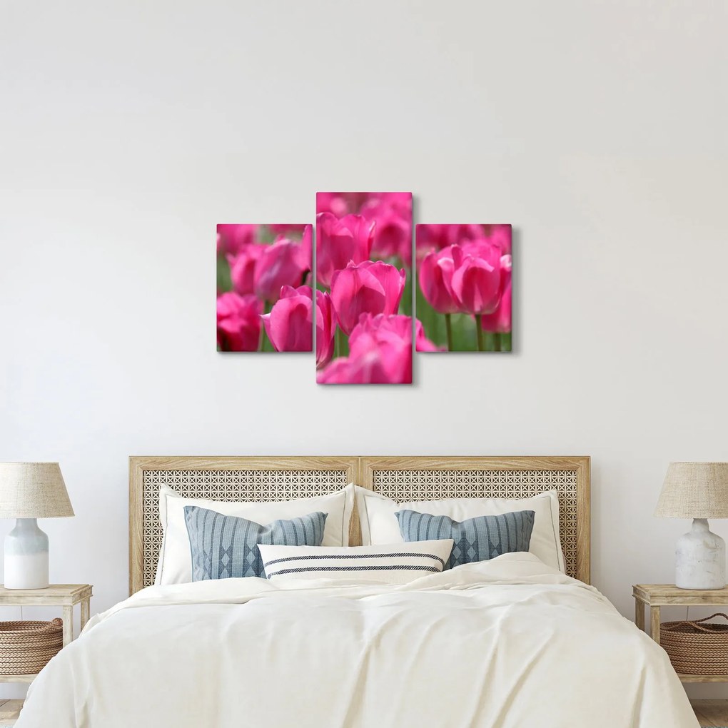 Kép - Rózsaszín tulipánok (90x60 cm)