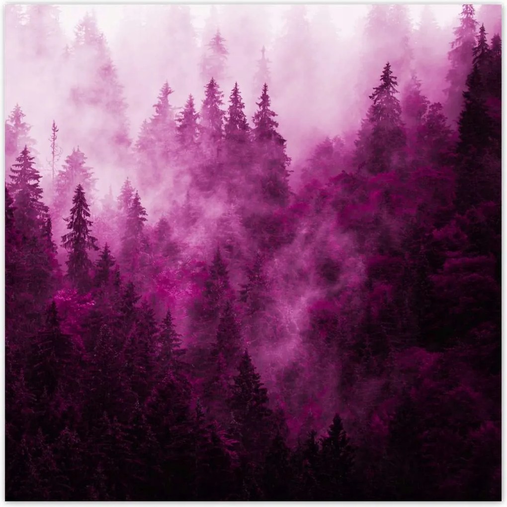 Fotótapéták 312x312 Tájkép Rózsa Hegyek Köd