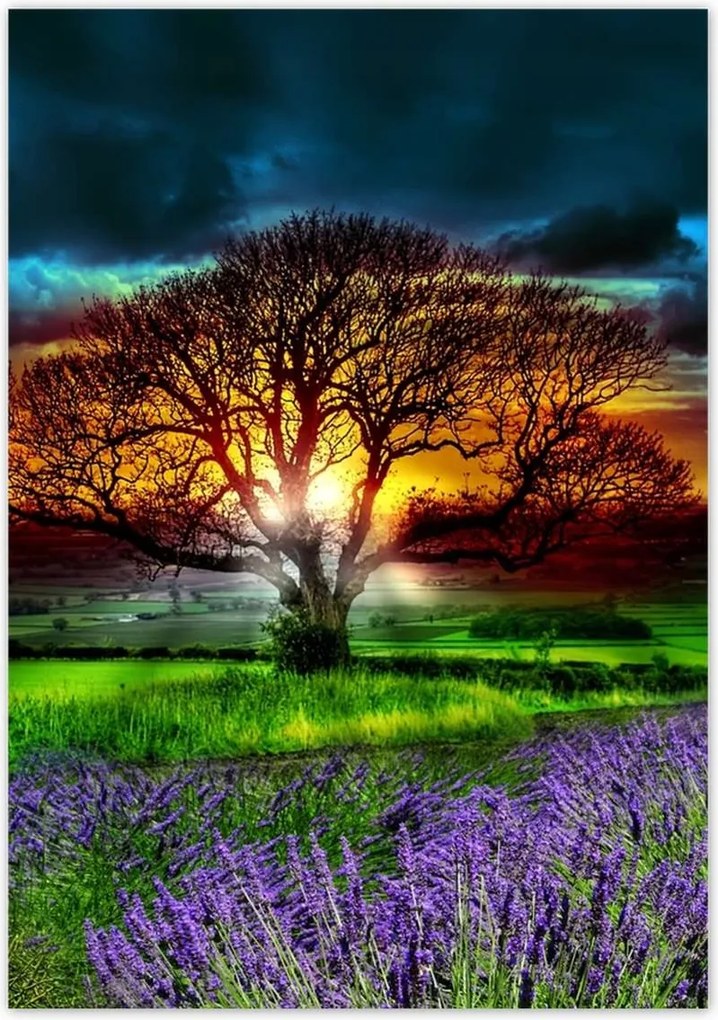 Poszterek 70x100 Az élet fája