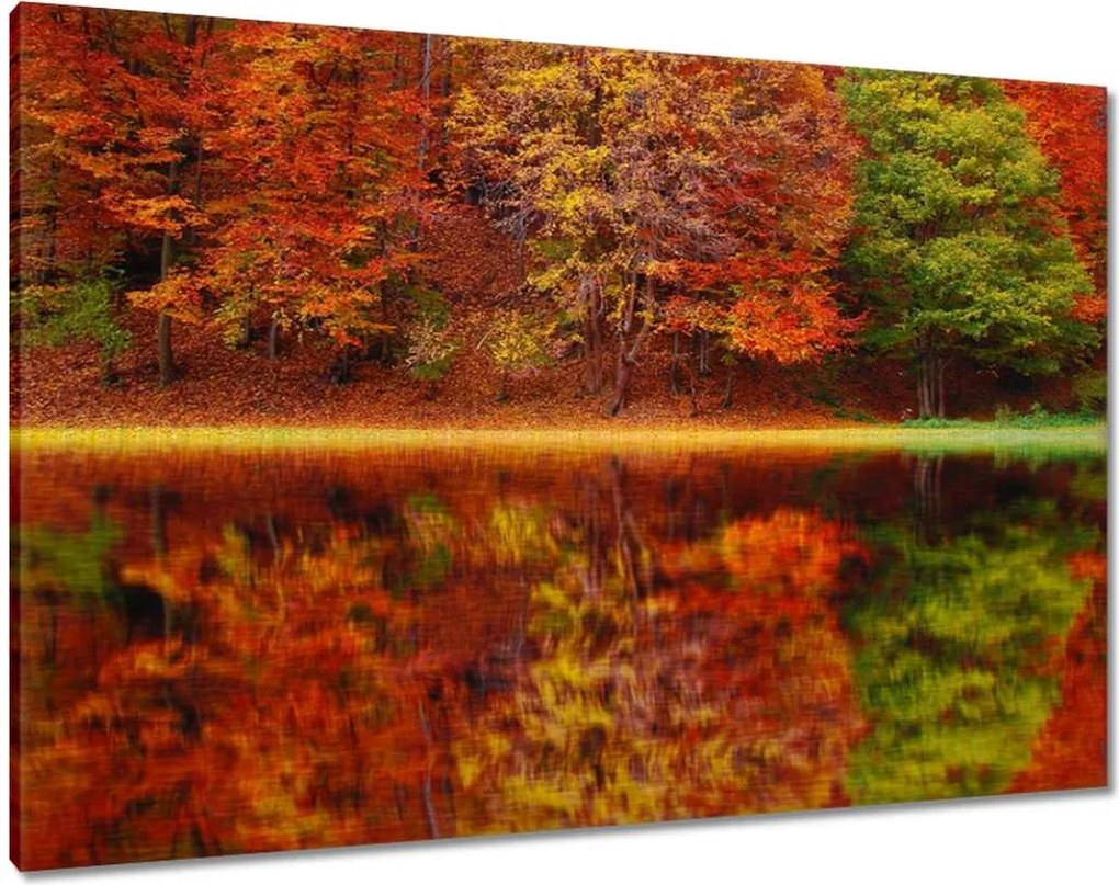 Festmények 100x70 Őszi táj