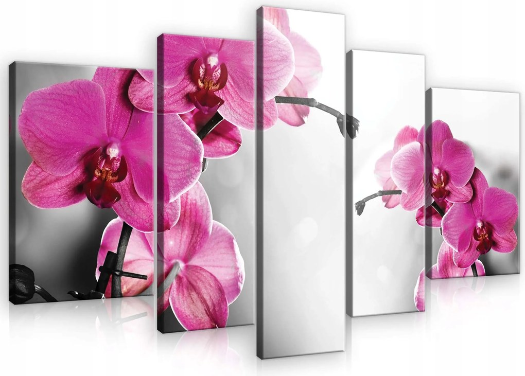 Vászonkép 170x100 Orchidea virágok rózsaszín finomság természet dekoráció