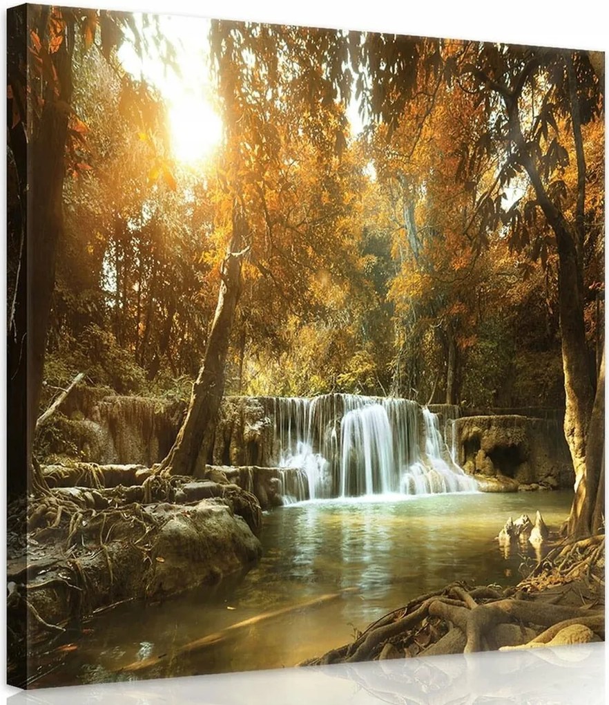 Vászonkép 80x80 Arany Ősz az erdőben Festői elem az irodába