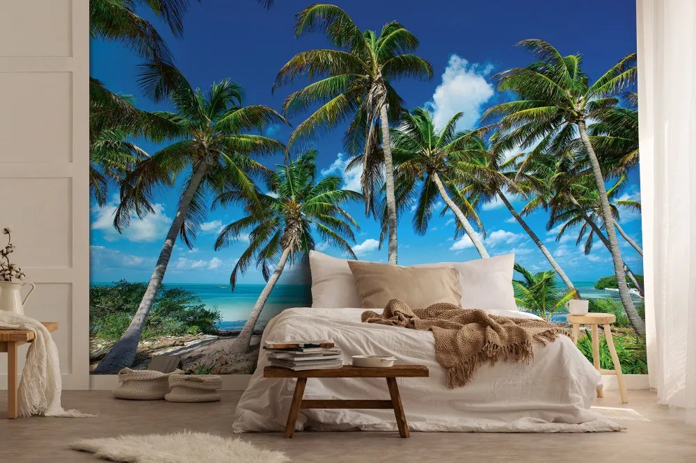 Fás tengerpart poszter, fotótapéta, Vlies (300 x 210 cm)